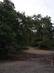 Kavel uitzetten clubhuis 002 (Medium).jpg