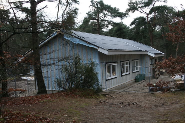 bouw_jan08_19.JPG